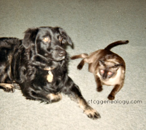 Our dog, Inky, and my grandmother's cat Buffy