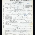 Elizabeth Todd Death Certificate 1907